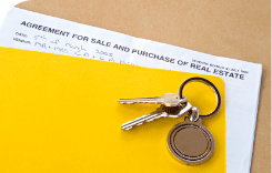 City Info Real estate and Property Services